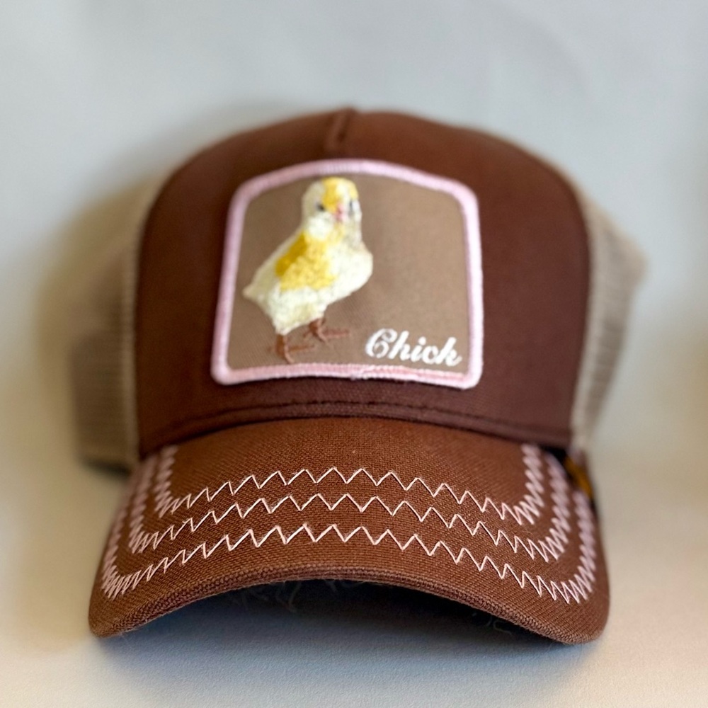 Goorin Brothers Chick Two Toned Trucker